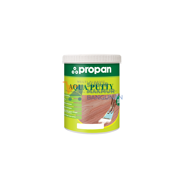 PROPAN AWP-919 MULTIPURPOSE AQUA PUTTY WHITE 1KG