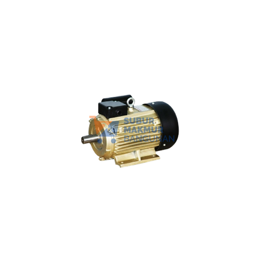 [SMB002128] ALDO ELECTRO MOTOR TYPE YC 1/4 HP-1PH-1400